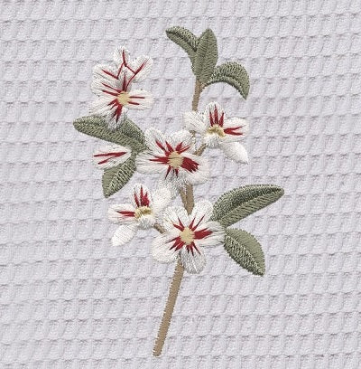 Guest Towel, Waffle Weave, Apple Blossom (White)