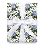 Hydrangea White Ribbon thumbnail