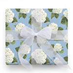 Hydrangea White Ribbon thumbnail