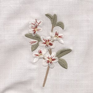 Guest Towel, Terry, Apple Blossom (White)